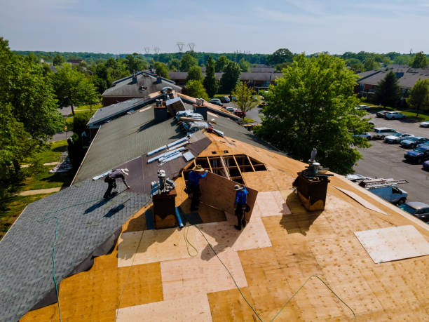 Best Flat Roof Repair Services  in Mayville, WI