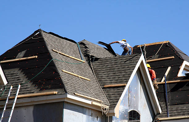 Best Gutter Installation and Roofing  in Mayville, WI