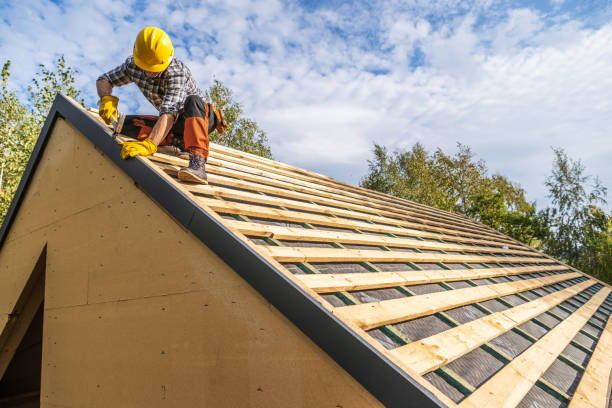 Best Shingle Roofing Installation  in Mayville, WI