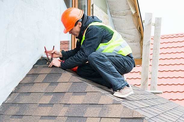 Best Local Roofing Companies  in Mayville, WI