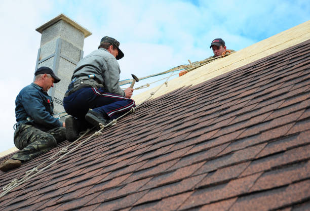 Best Commercial Roofing Services  in Mayville, WI